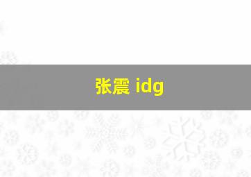 张震 idg